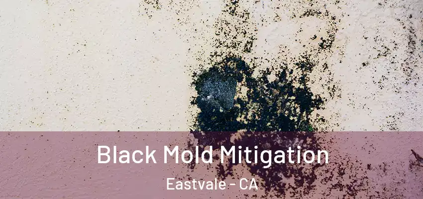  Black Mold Mitigation Eastvale - CA