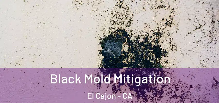  Black Mold Mitigation El Cajon - CA