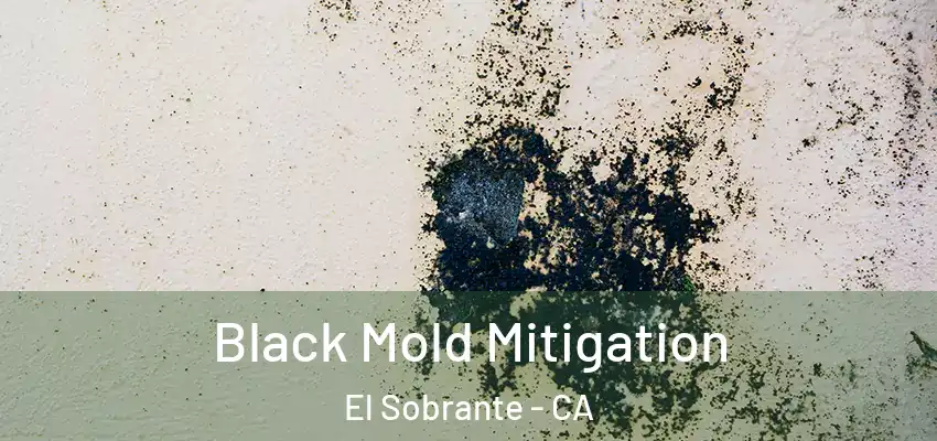  Black Mold Mitigation El Sobrante - CA