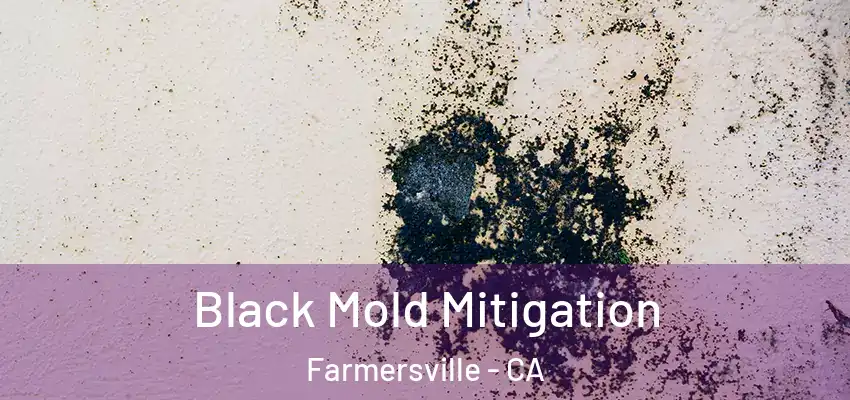  Black Mold Mitigation Farmersville - CA