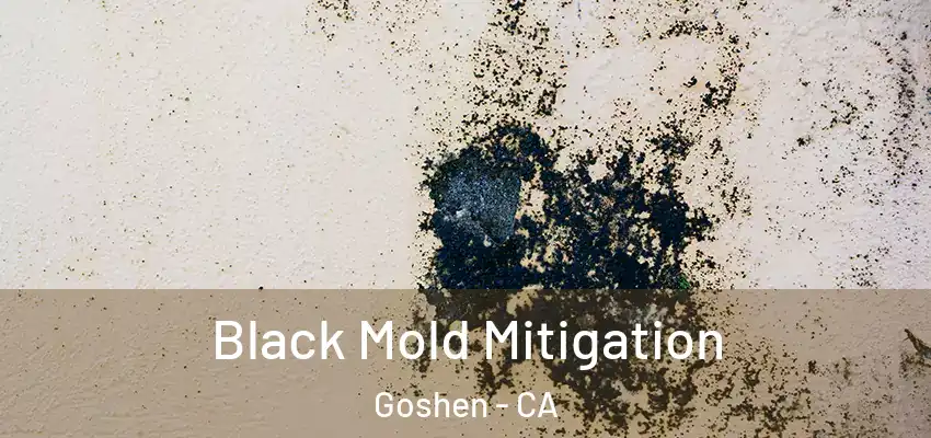  Black Mold Mitigation Goshen - CA