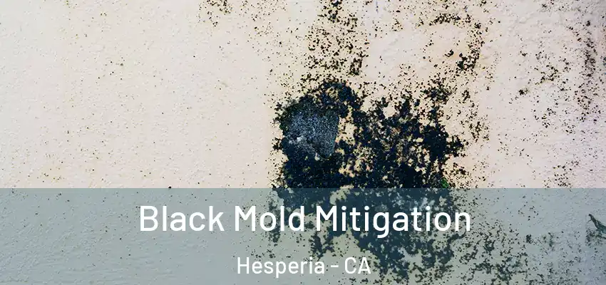 Black Mold Mitigation Hesperia - CA