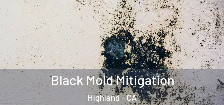  Black Mold Mitigation Highland - CA