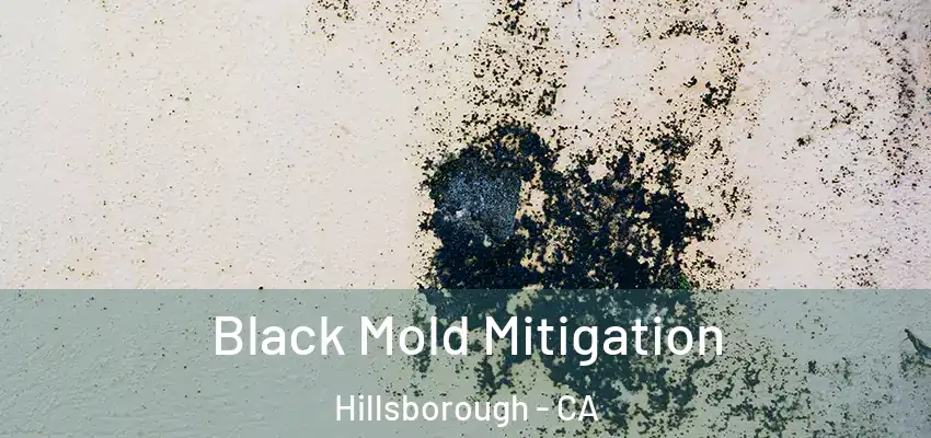  Black Mold Mitigation Hillsborough - CA