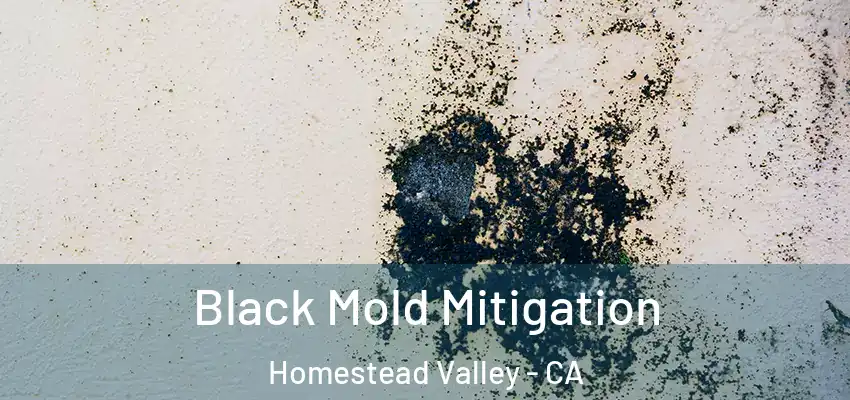  Black Mold Mitigation Homestead Valley - CA