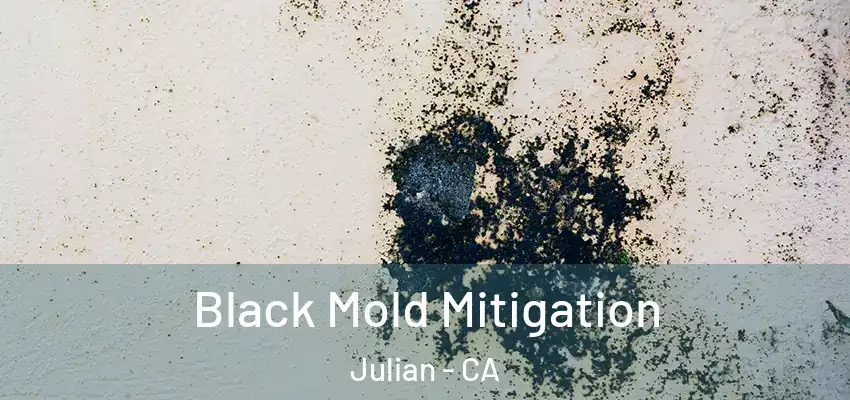  Black Mold Mitigation Julian - CA