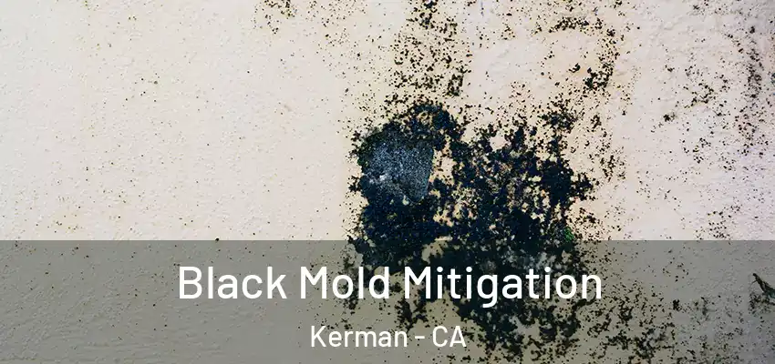  Black Mold Mitigation Kerman - CA