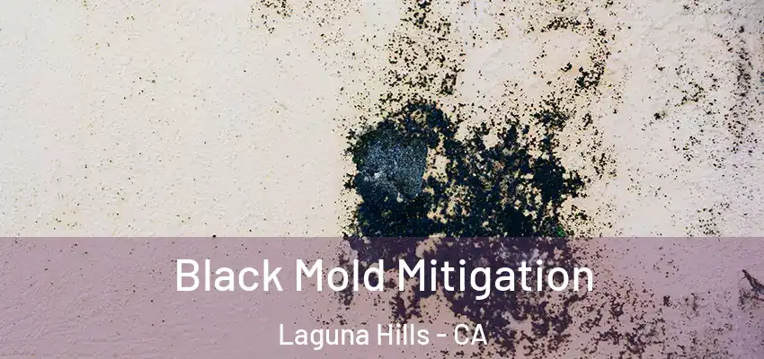  Black Mold Mitigation Laguna Hills - CA
