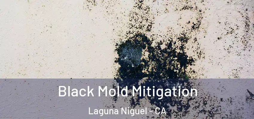  Black Mold Mitigation Laguna Niguel - CA