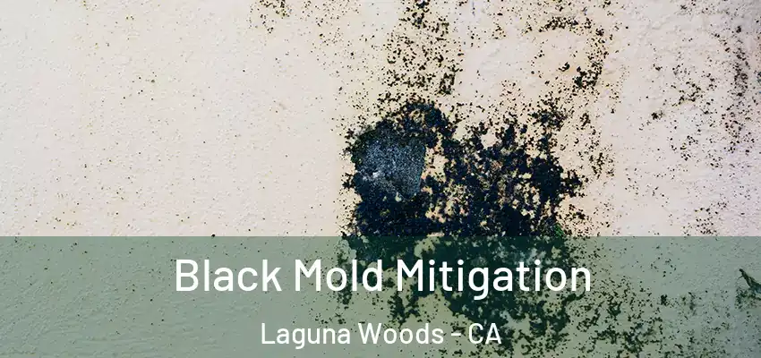  Black Mold Mitigation Laguna Woods - CA