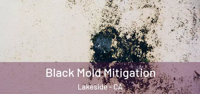  Black Mold Mitigation Lakeside - CA