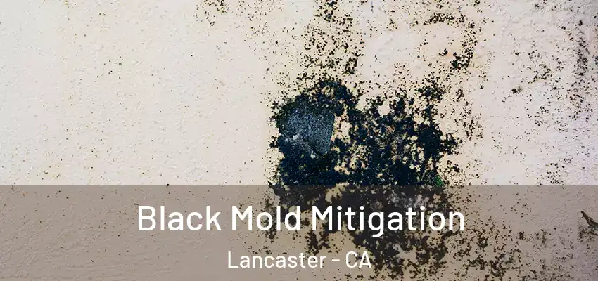  Black Mold Mitigation Lancaster - CA