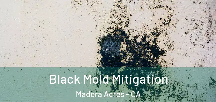  Black Mold Mitigation Madera Acres - CA