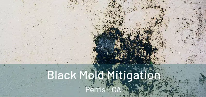  Black Mold Mitigation Perris - CA