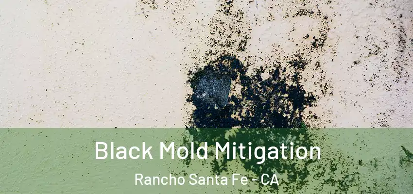 Black Mold Mitigation Rancho Santa Fe - CA