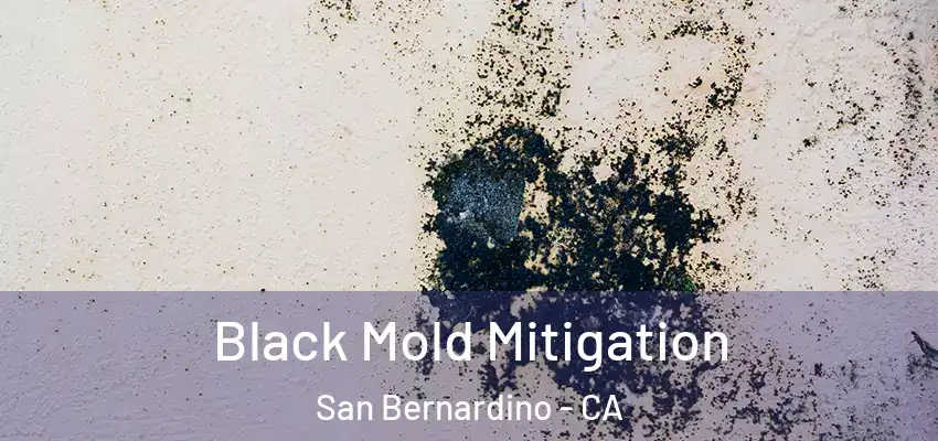  Black Mold Mitigation San Bernardino - CA
