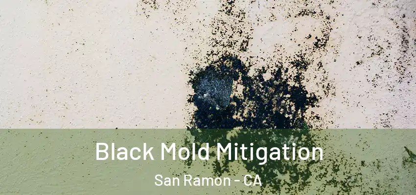  Black Mold Mitigation San Ramon - CA