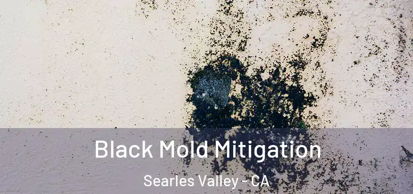  Black Mold Mitigation Searles Valley - CA