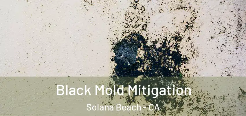  Black Mold Mitigation Solana Beach - CA