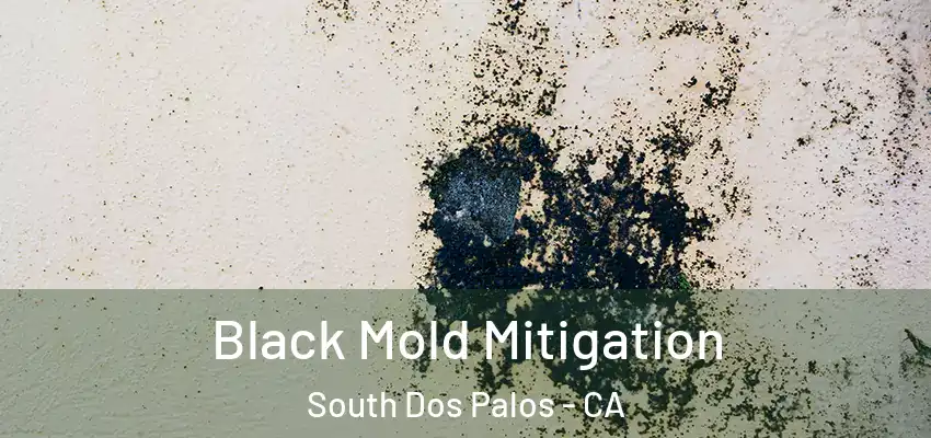  Black Mold Mitigation South Dos Palos - CA