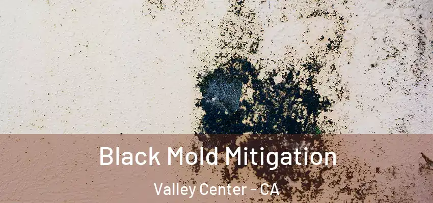  Black Mold Mitigation Valley Center - CA