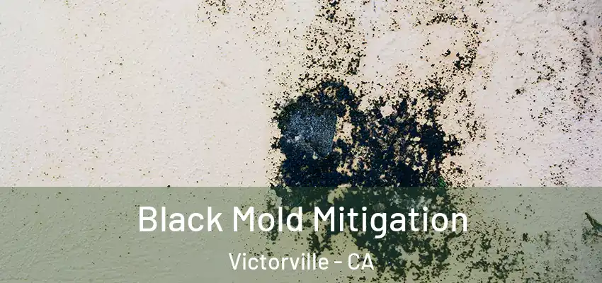  Black Mold Mitigation Victorville - CA