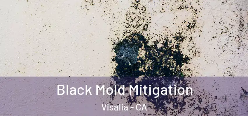  Black Mold Mitigation Visalia - CA