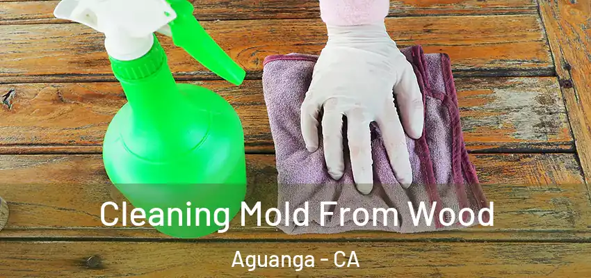  Cleaning Mold From Wood Aguanga - CA