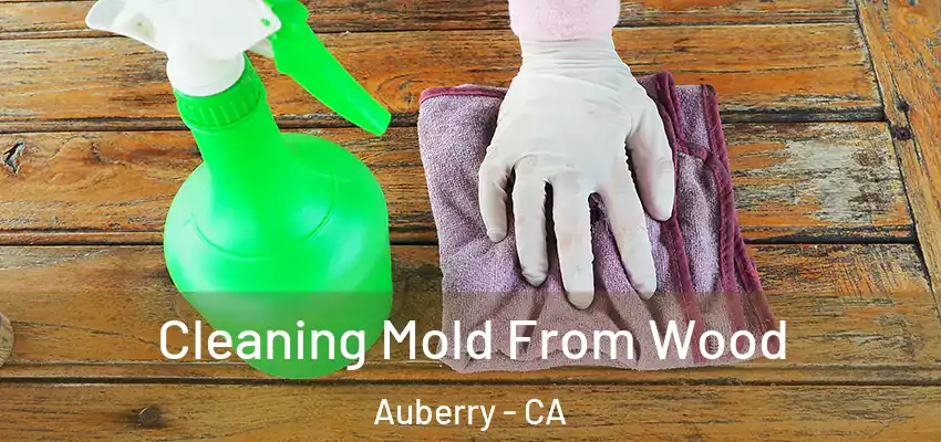  Cleaning Mold From Wood Auberry - CA