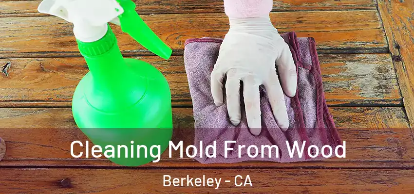  Cleaning Mold From Wood Berkeley - CA