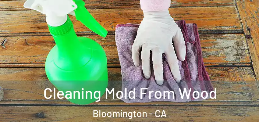  Cleaning Mold From Wood Bloomington - CA