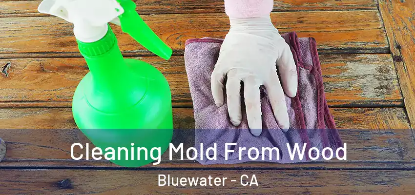  Cleaning Mold From Wood Bluewater - CA