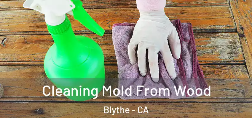  Cleaning Mold From Wood Blythe - CA