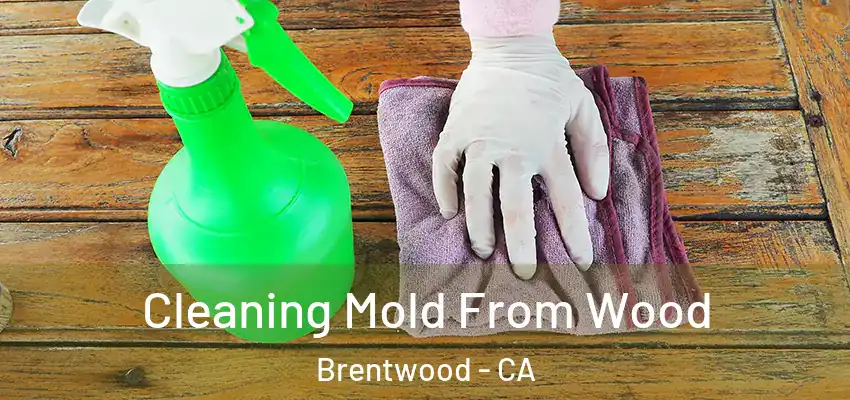  Cleaning Mold From Wood Brentwood - CA