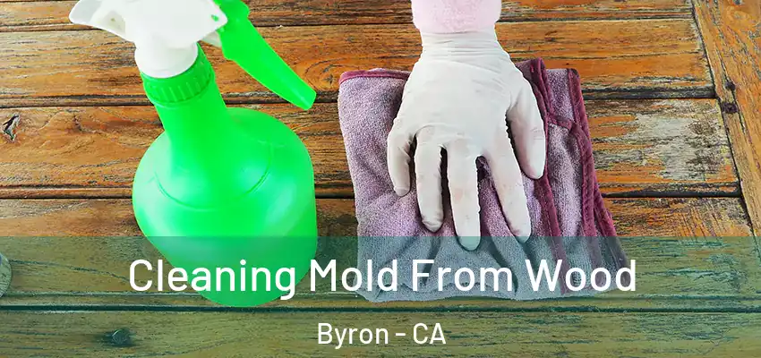  Cleaning Mold From Wood Byron - CA