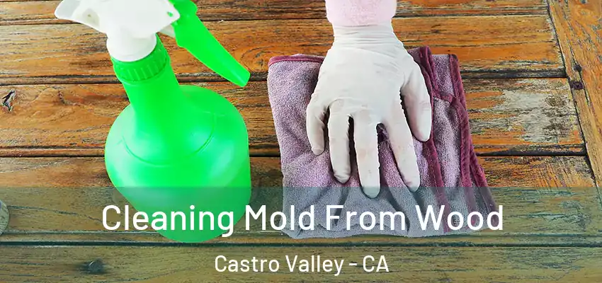 Cleaning Mold From Wood Castro Valley - CA