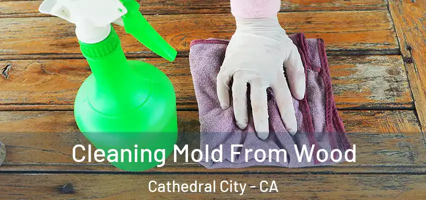  Cleaning Mold From Wood Cathedral City - CA
