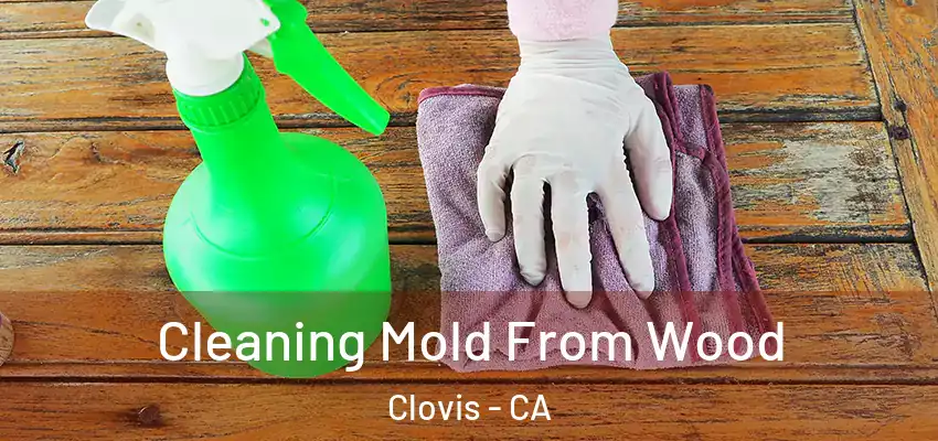  Cleaning Mold From Wood Clovis - CA