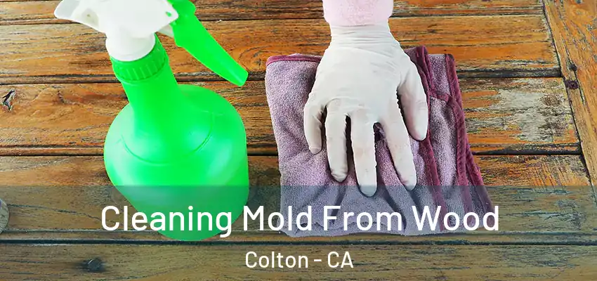  Cleaning Mold From Wood Colton - CA