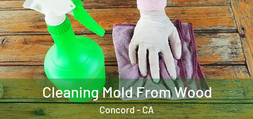  Cleaning Mold From Wood Concord - CA