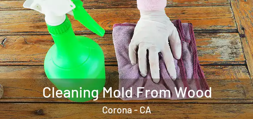  Cleaning Mold From Wood Corona - CA