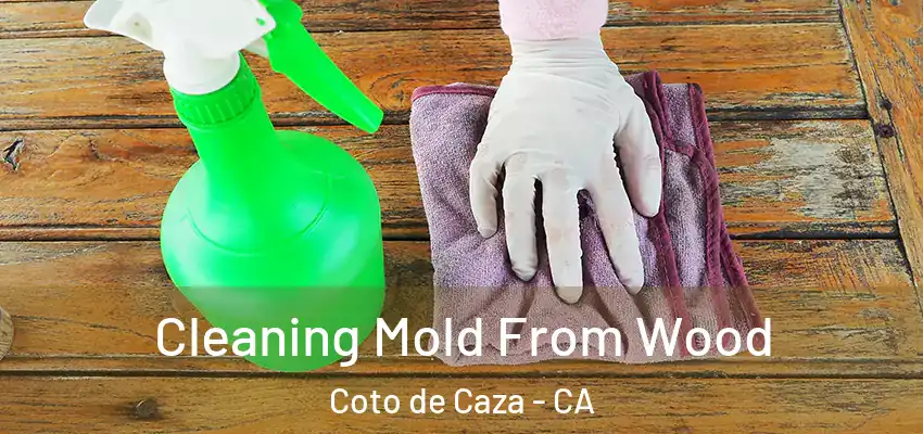  Cleaning Mold From Wood Coto de Caza - CA