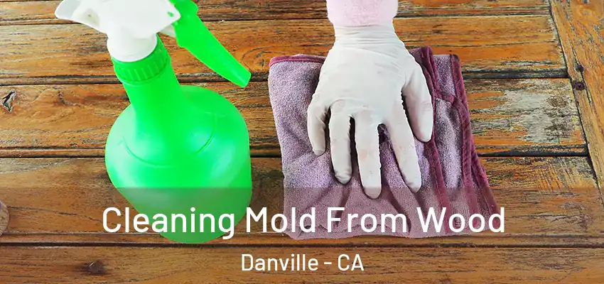  Cleaning Mold From Wood Danville - CA