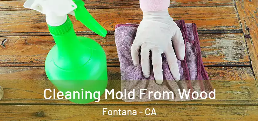  Cleaning Mold From Wood Fontana - CA