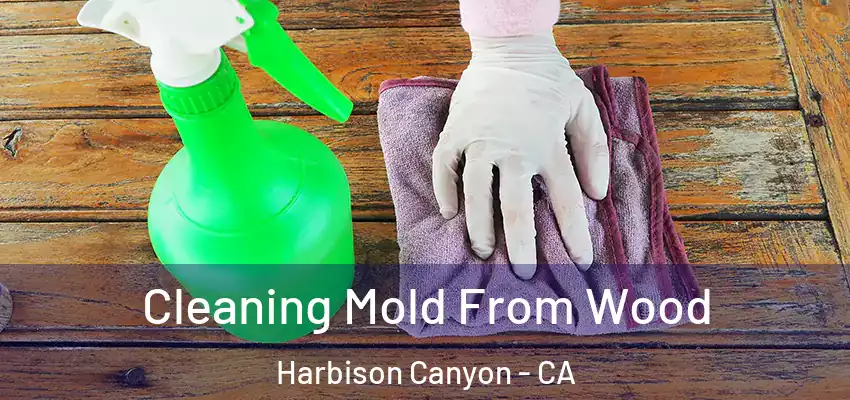  Cleaning Mold From Wood Harbison Canyon - CA