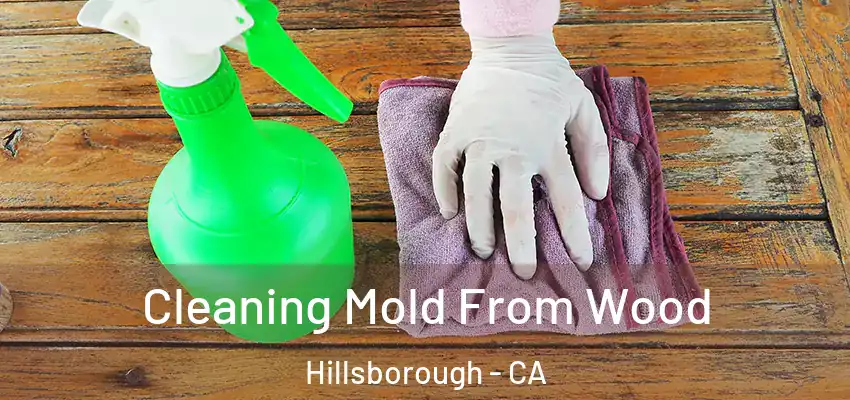  Cleaning Mold From Wood Hillsborough - CA