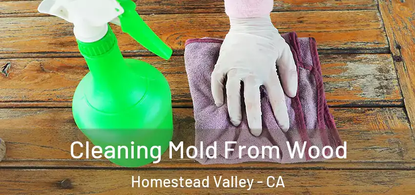  Cleaning Mold From Wood Homestead Valley - CA