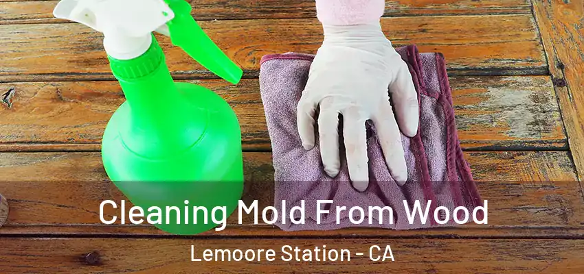  Cleaning Mold From Wood Lemoore Station - CA