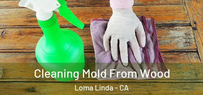  Cleaning Mold From Wood Loma Linda - CA