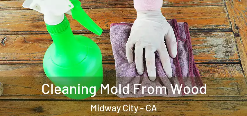  Cleaning Mold From Wood Midway City - CA